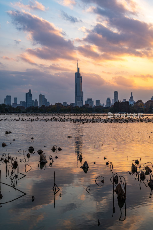 黄昏夕阳南京玄武湖城市建筑景观