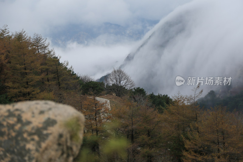 美丽泰山山间云海