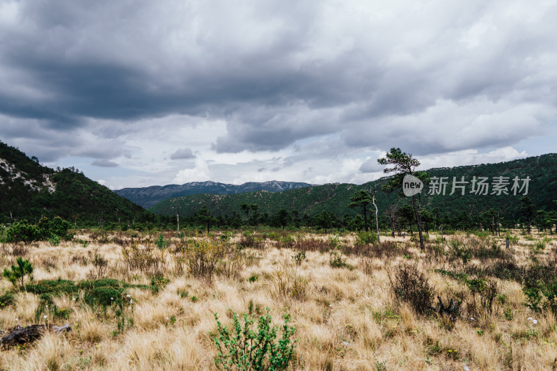 丽江玉龙雪山干河坝