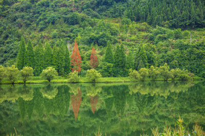 绿水青山