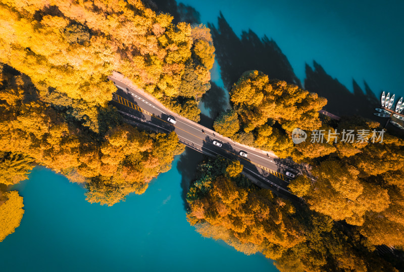 杭州西湖风景名胜区花港观鱼杨公堤俯视航拍