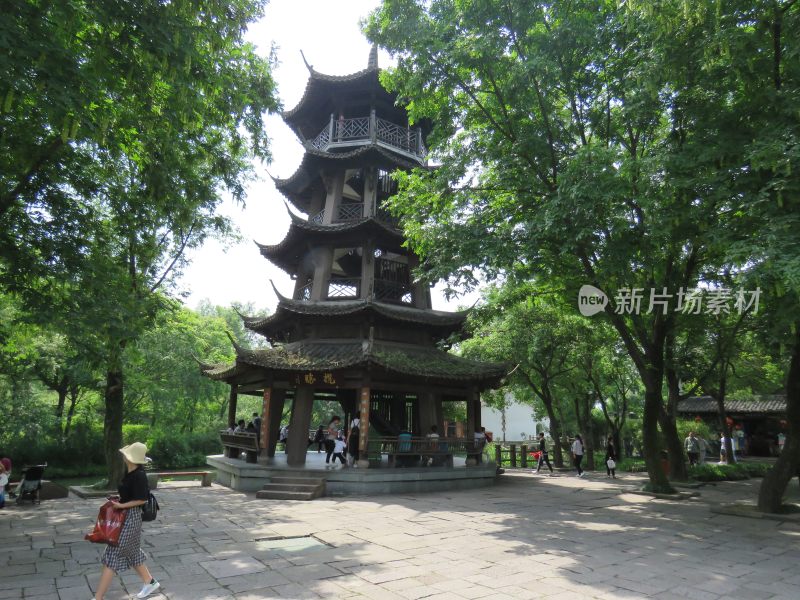 杭州西溪湿地公园风景