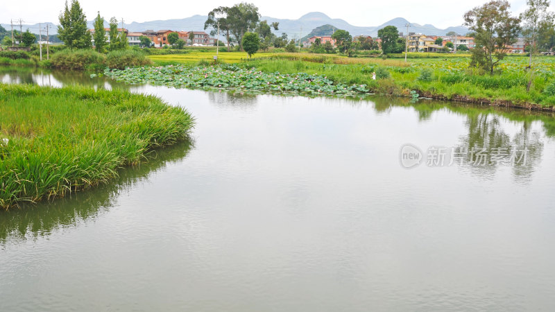 云南普者黑湿地公园