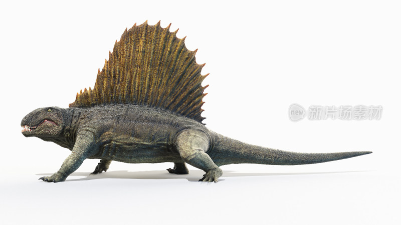 恐龙 侏罗纪 食肉恐龙