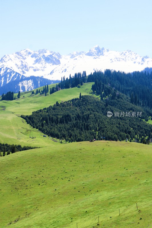 新疆伊犁的草原、雪山与森林