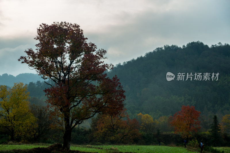 塔川的秋天