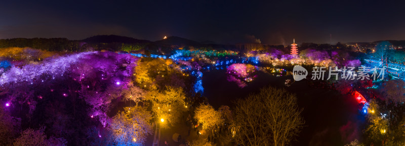 武汉东湖磨山樱花园夜景风光