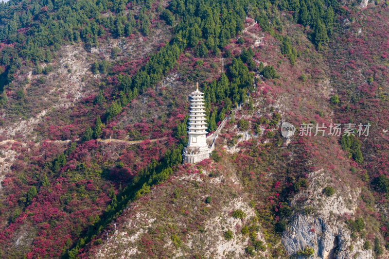 掩映在巫山红叶中的镇水塔