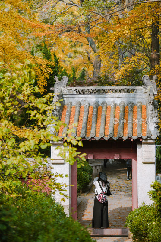 崂山太清宫秋季景色