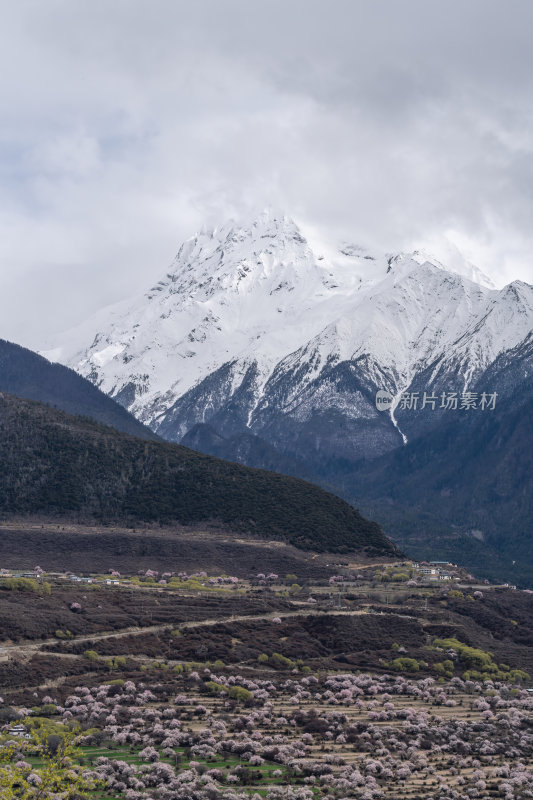 西藏林芝索松村南迦巴瓦峰雪山云海之巅