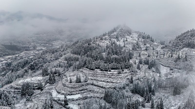 重庆酉阳：大雪纷飞赏雪忙