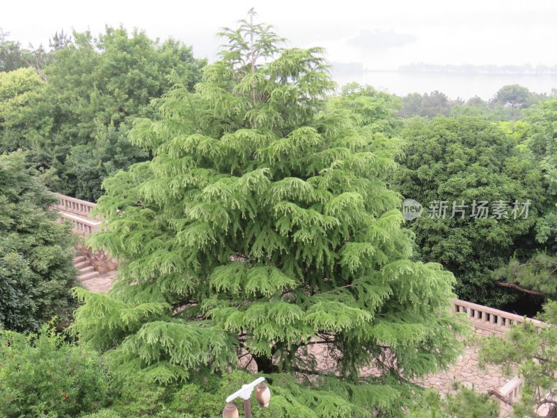 江苏无锡太湖鼋头渚风景区