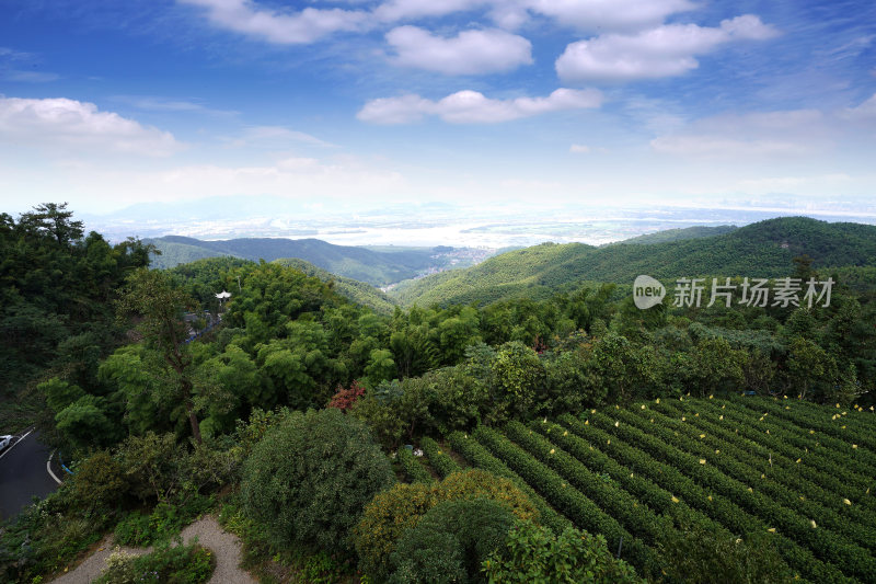 杭州市萧山区寺乌岭2