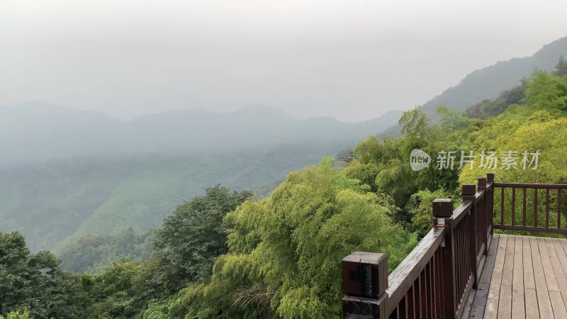 杭州天目山风景