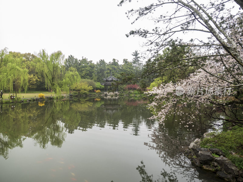 杭州西湖花港观鱼风景