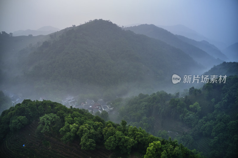 浙江杭州龙井村茶园