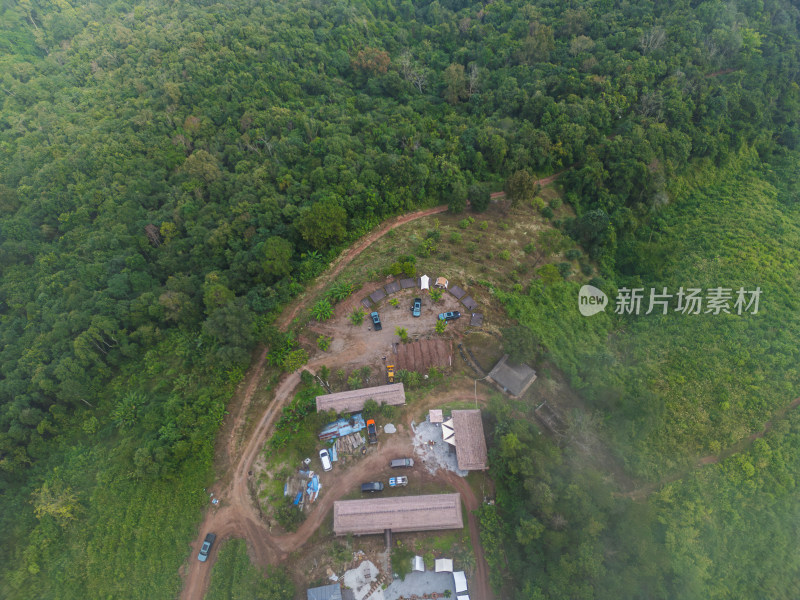 航拍视角下的丛林间越野车营地与植被景象