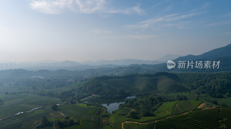 航拍杭州龙坞茶园 茶山 茶田