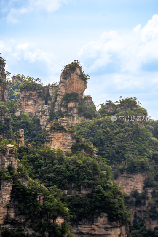 中国湖南张家界景区奇特山峰与茂密森林