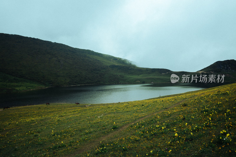 阴天川西九顶山宣传片