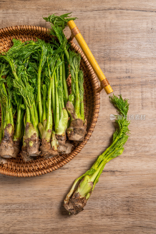 绿色野菜刺嫩芽