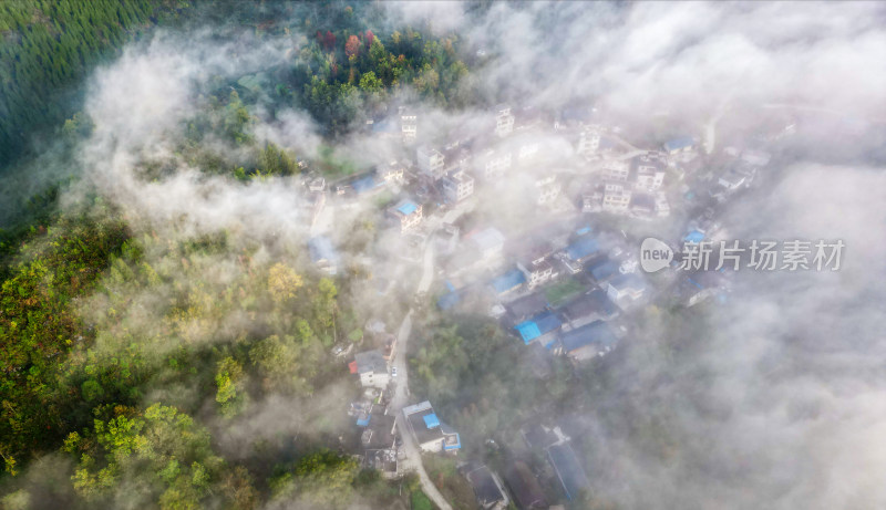 重庆酉阳：大龙村的枫叶红了