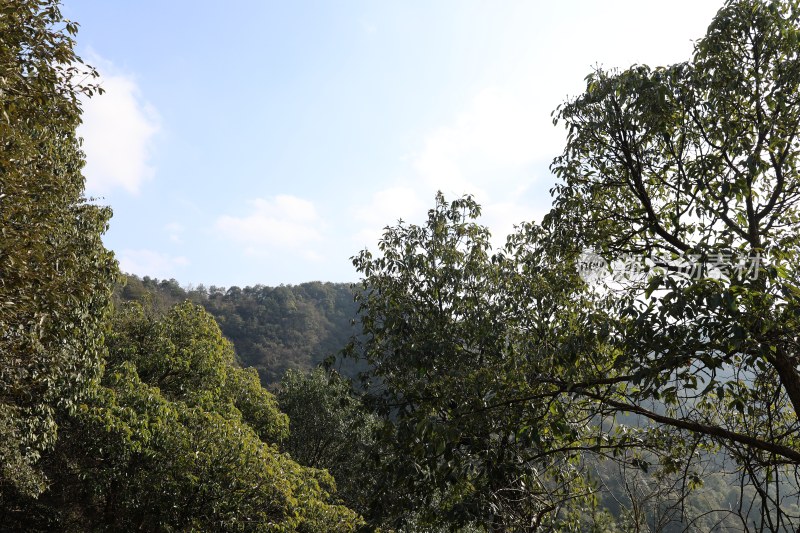 山林绿树蓝天自然景象