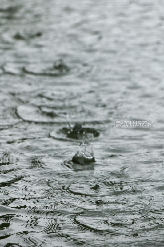 雨天水滴滴在水面上