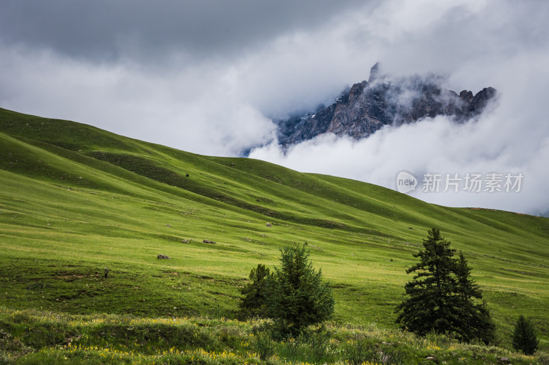 云雾缭绕的高山草原