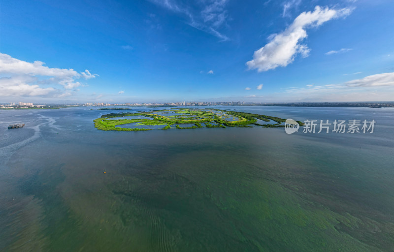 水域中的生态岛屿鸟瞰全景