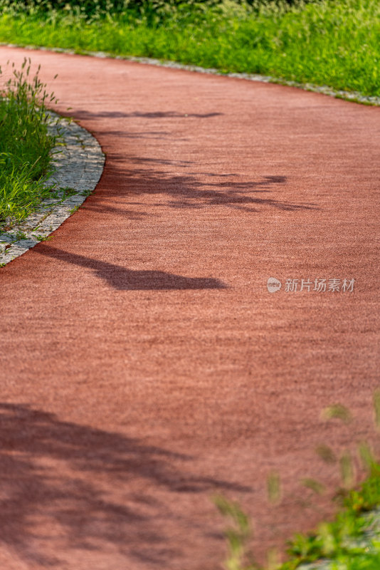 邹城中央公园城市绿植景观