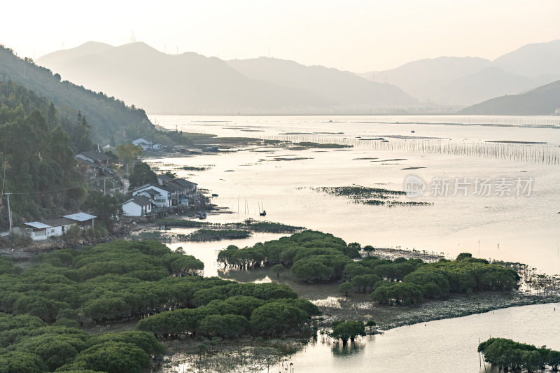 福建宁德霞浦县城红树林湿地涂滩海边景观