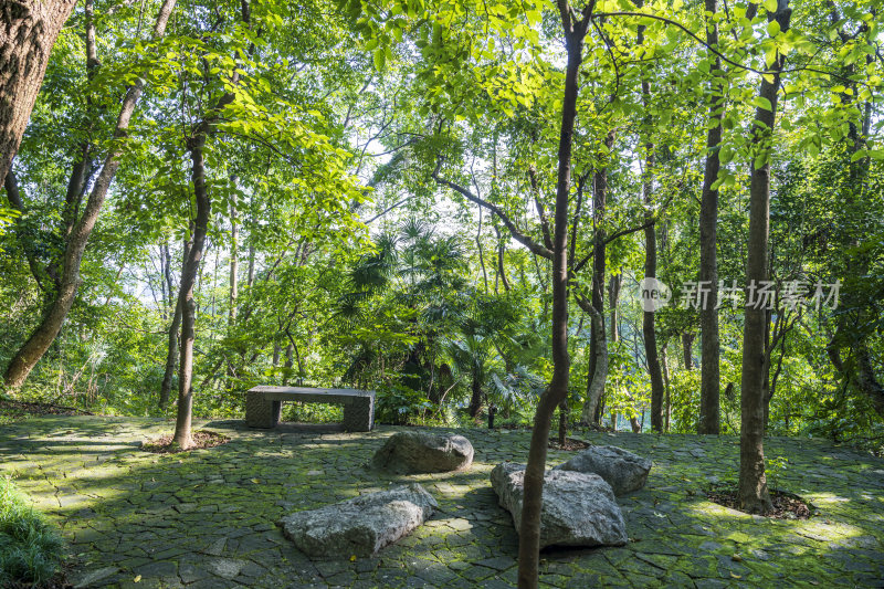 杭州吴山龙宫风景