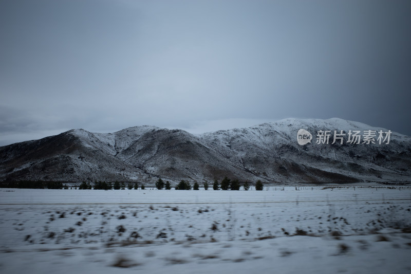 Lake Tekapo蒂卡波湖农场雪景