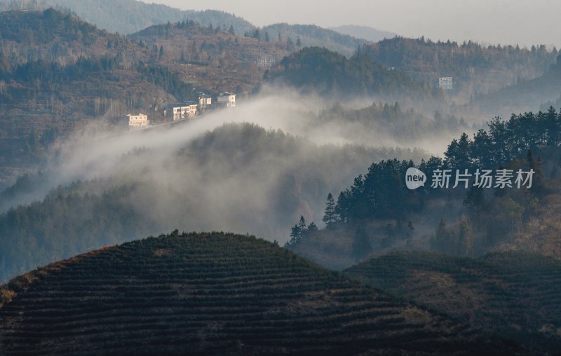 重庆酉阳：晨曦中的村庄