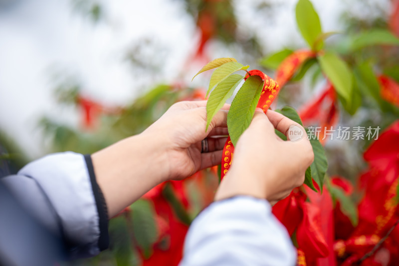 手系红丝带在绿叶树枝上的特写