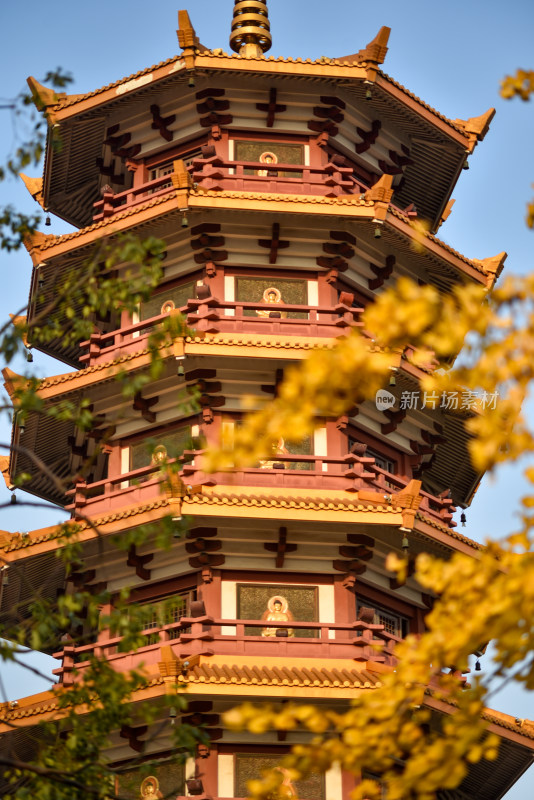 闵行七宝古寺