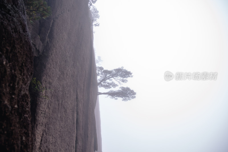 云雾下，安徽黄山风景区风光