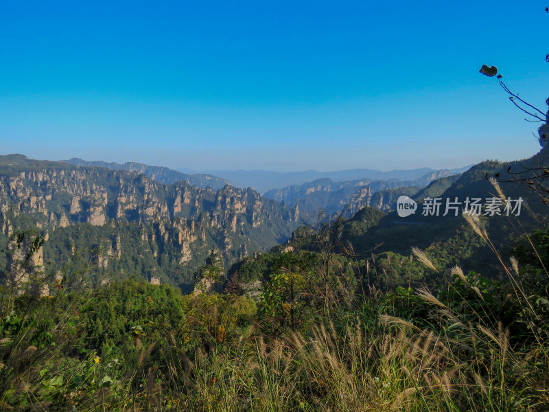 中国湖南张家界国家森林公园旅游风光