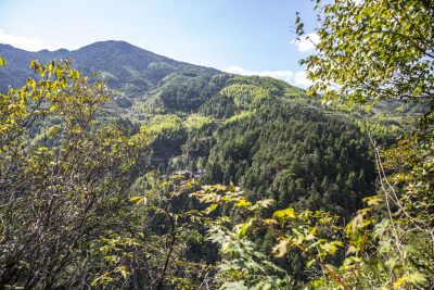 景宁时思寺