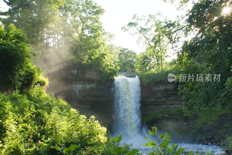 大自然森林树木旅行徒步野营