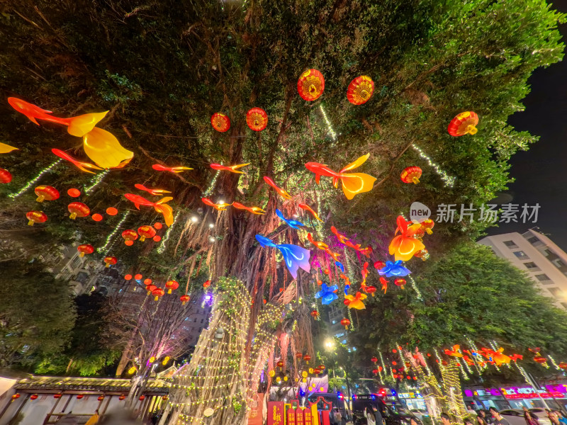 夜晚大树上悬挂的节日装饰