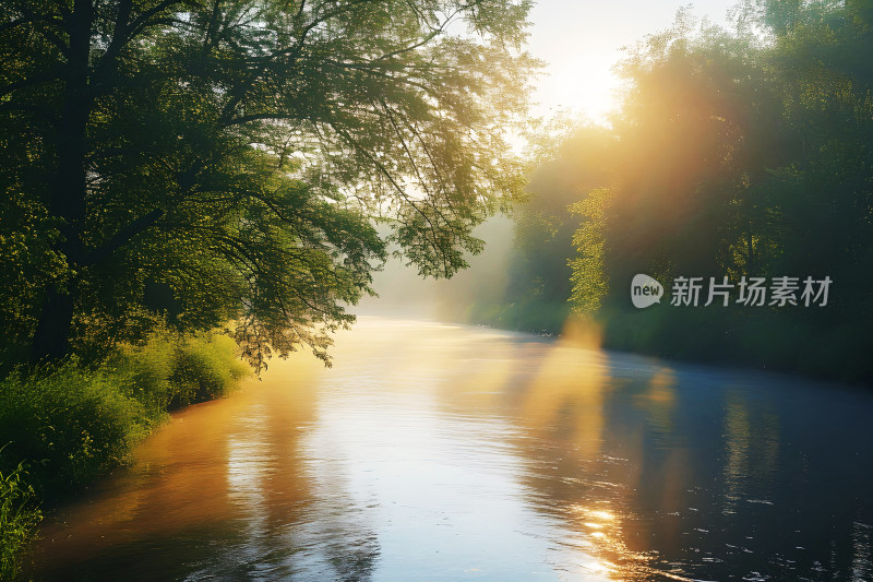 风景生态背景河流树木