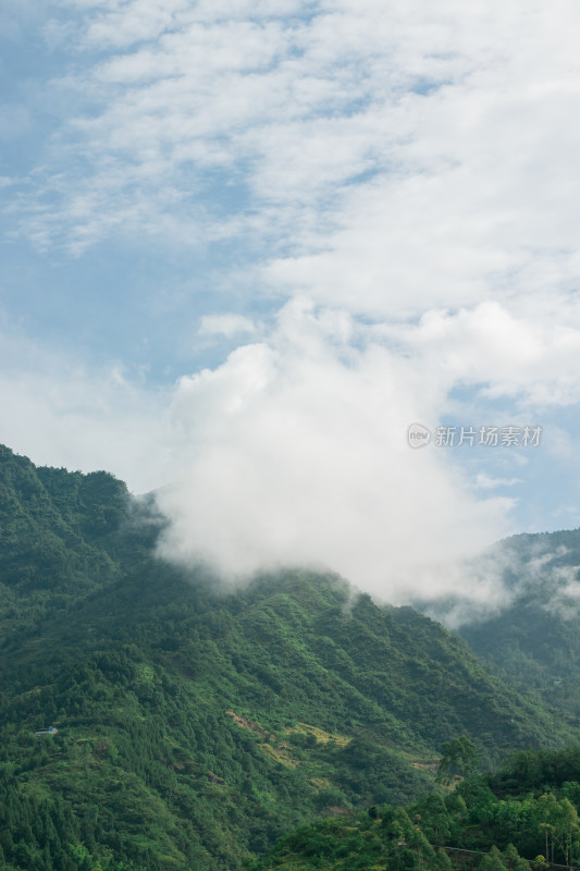 夏季山间云雾