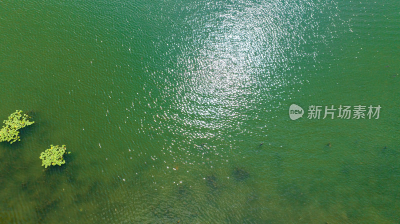 航拍杭州西湖夏季风光