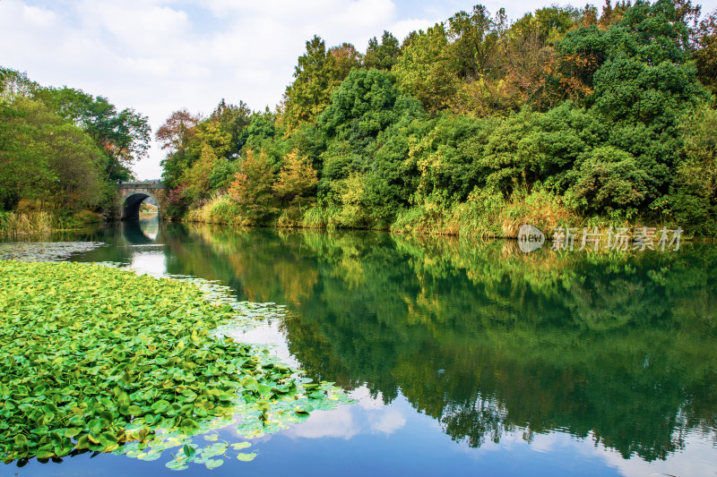 浙江杭州西湖秋景