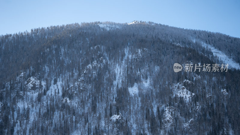 新疆森林大山雪景