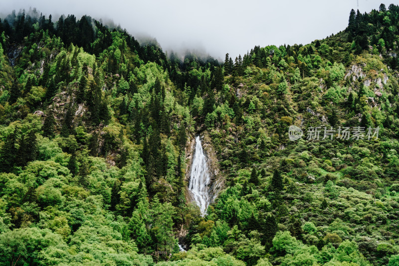 阿坝州四姑娘山长坪沟