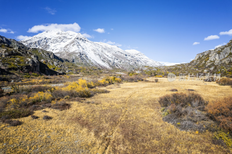 西藏林芝藏东南念青东曲通线中的雪山与秋景