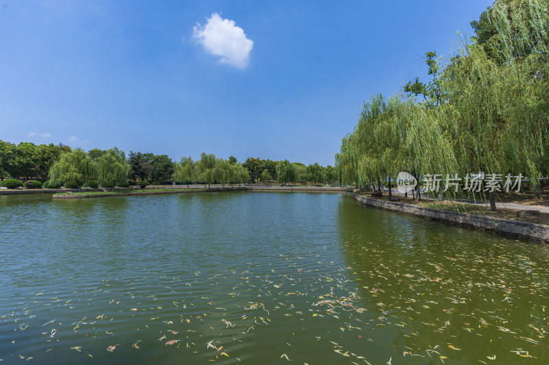 武汉蔡甸汤湖公园生态园林风景